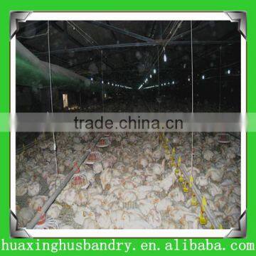 Chicken house farm construction building broiler poultry shed design