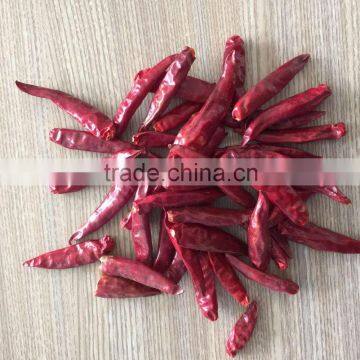 Dry Red Chilli Pepper