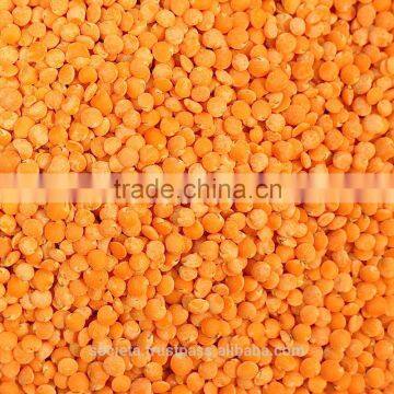 Australian Red Football Lentils