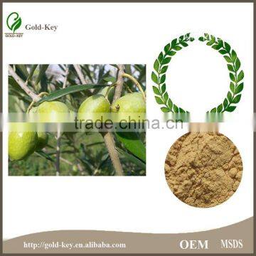 100% Natural Olive Leaf Extract Powder in Bulk photo-4
