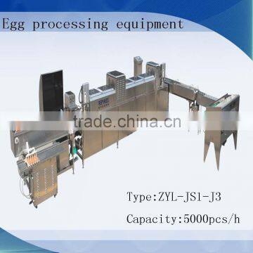 egg processing equipment