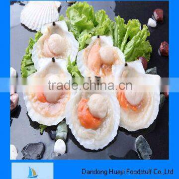 Frozen scallop with half shell