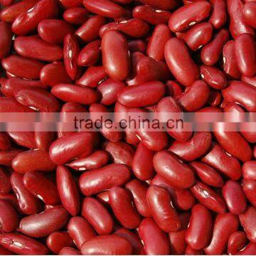 Kidney Beans