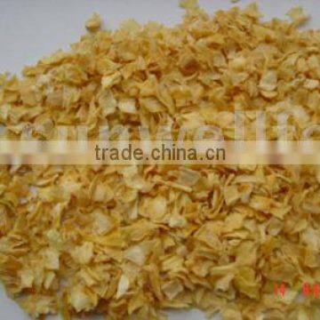 Dehydrated Onion