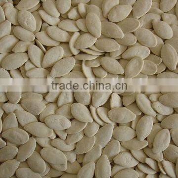 Roast -salted pumpkin seeds