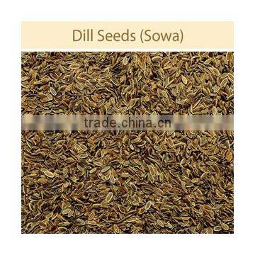 DILL SEEDS