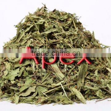 Stevia Rebaudiana / Stevia leaf / Stevia Leaf T Cut