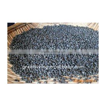 black kidney beans low price