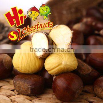 Hot Sale Hebei New Crop Fresh Chestnut Nuts photo-4