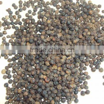 BLACK PEPPER 500G/L FAQ (skype: visimex08)