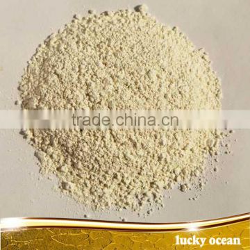 Dehydrated garlic granule 100-120 mesh garlic granule