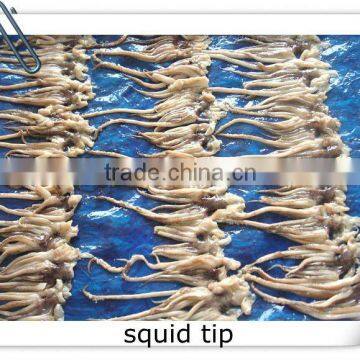 IQF squid tip