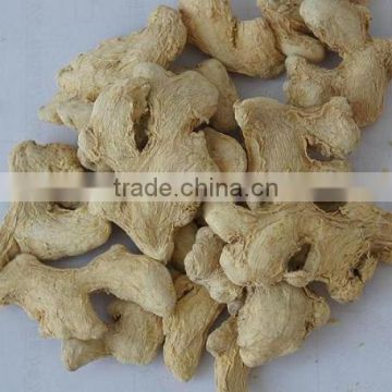 100% Natural Gan Jiang Extract Powder