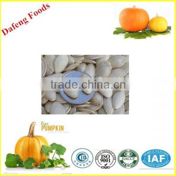 Wholesale China Shine Skin Pumpkin Seeds