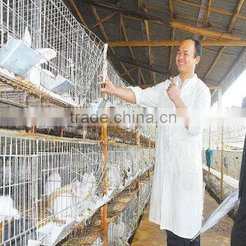 Animal Farm, Poultry Equipment