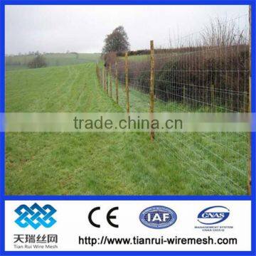 High quality galvanized field fence/grassland fence