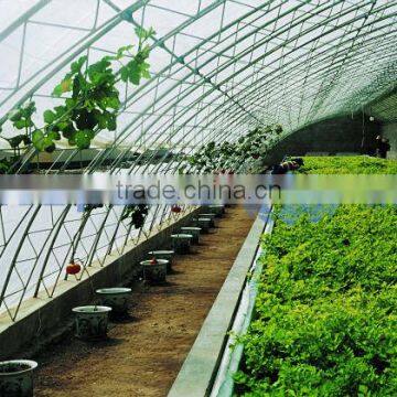 Tunnel Plastic Greenhouse Film Agriculture photo-4