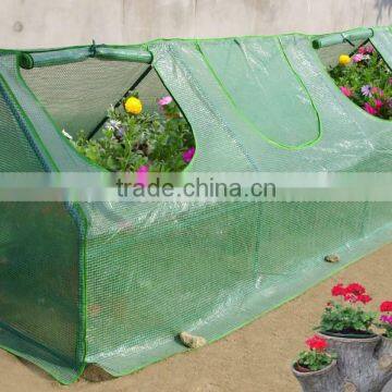 Commercial Cold Frame