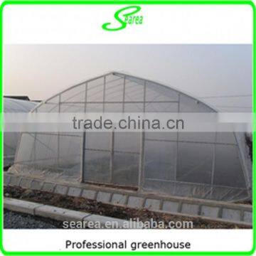 Galvanized Steel Tube Frame Greenhouse Commercial Greenhouse photo-5