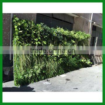 Artificial Vertical Green Wall photo-3
