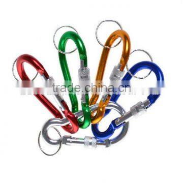 50KG Load Bearing Different Shape Professional Outdoor Activity Safety Carabiner photo-4
