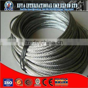 China Supplier AISI ASTM BS DIN GB JIS Galvanized Steel Wire Rope