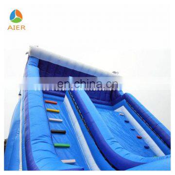 2017 Aier With Dolphins Inflatable Slide/cheap Inflatable Slide/adult Size Inflatable Water Slide photo-4
