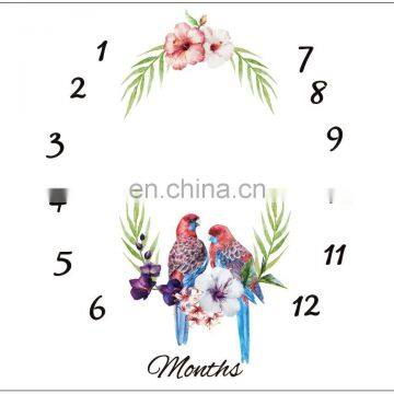 Best Quality Polyester Milestone Blanket Baby Milestone Blanket Milestone Blanket Double Sided