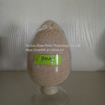 Lovastatin purification resin