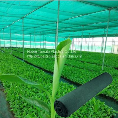 10 Years Green Agriculture Hdpe Sun Shade Net