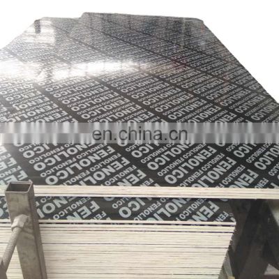 plywood sheet construction grade double side film faced plywood manufacturers