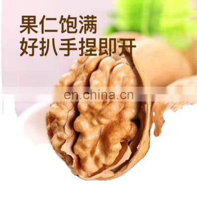 Factory Wholesale High Quality Kabuklu Ceviz Light Amber Halves Xinjiang Ceviz