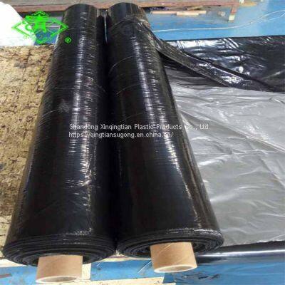 Agriculture Black/Silver Greenhouse Plastic Mulch Film for Strawberry photo-3