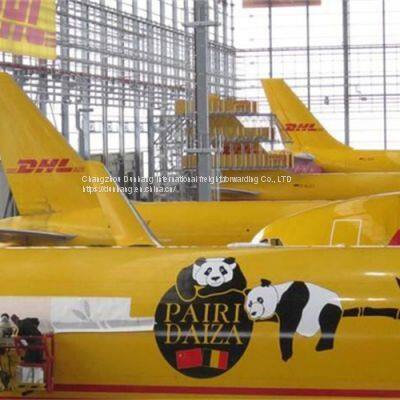 GermanyDHLExpress GermanyDDU Germany photo-2