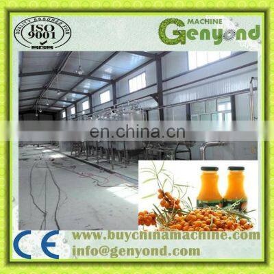 Small Scale Sea Buckthorn Juice Process Plant / Sea Buckthorn Juice Processing Equipment photo-3