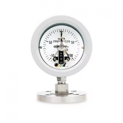 Stainless steel pressure gauge with shock-proof diaphragm gauge with explosion-proof electric contact