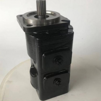 Replace Original Gear Pump JCB207 20 925341 7029120007 Hydraulic Gear Pump High Quality Replacement Pump photo-5
