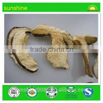 High quality price of white porcini ,boletus mushroom