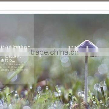 LED Wood Table Lamp LED Wooden Table Light JK-879-13 LED Wooden Table Lamp For Bedroom Hotel Lamp photo-4