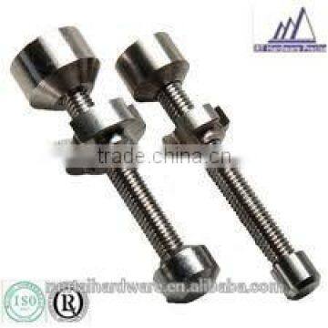 China Manufacture Special Head Different Model and Size Screw