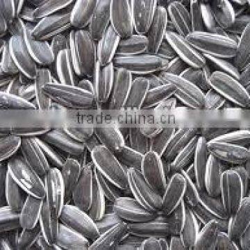 Chinese authentic confectionery sunflower seed