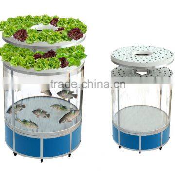 2016 hot sale high quality mini LED light acrylic tank fish tank aquaponics system vertical