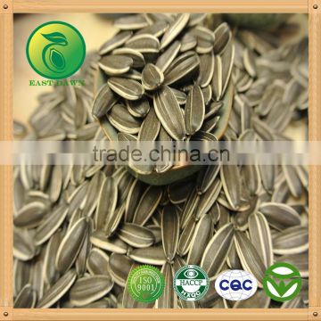 Sunflower Seeds ton Price high quality