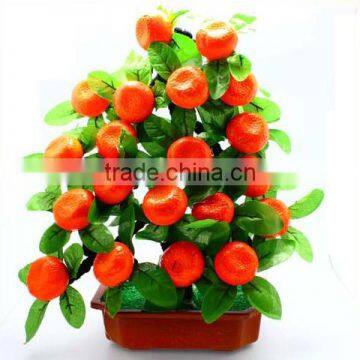 Factory price hot sale indoor decoration fruits bonsai wholesale