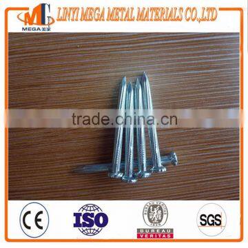 China Nails Factory Wholesale Concrete Nail Sizes Top Quality Angular Spiral Stainless Steel Concrete Nails photo-4