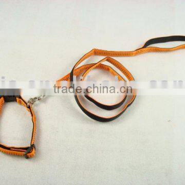dog leash and harness set