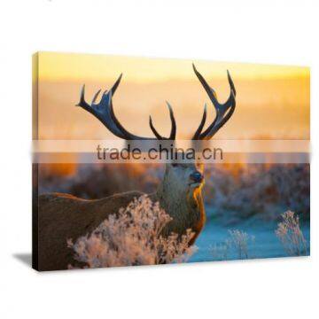 Deer and Elk Animal Decor Printed Canvas Painting For Bedroom and Livingroom DWYS69