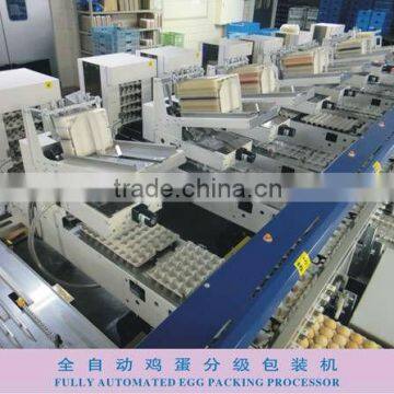 Full-Auto Egg Grading Machine