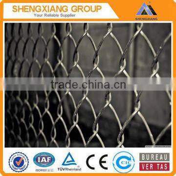 galvanized chain link fence/PVC coated chain link fence/electro galvanized iron fence