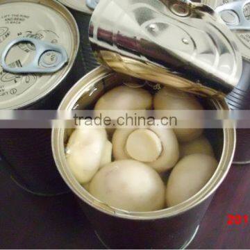 Canned Mushroom